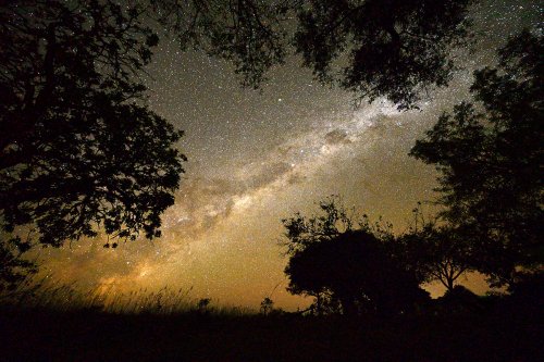 Moremi Game Reserve (Botswana) - Nuit étoilée(VO-25-0953 B.jpg)